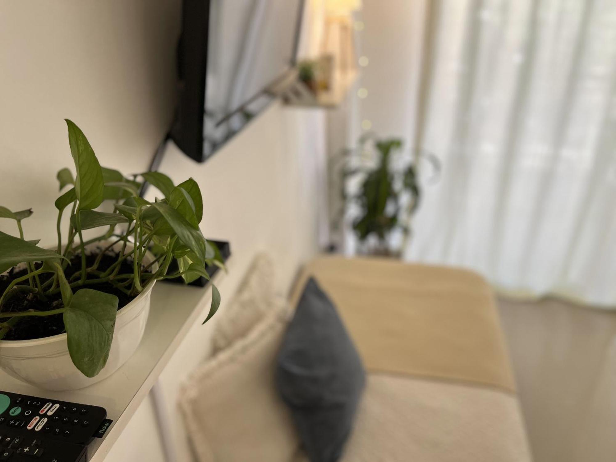 Palermo Hollywood Ba Suites Μπουένος Άιρες Εξωτερικό φωτογραφία